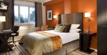 21557784_1669197623103821_5008597770753267774_n